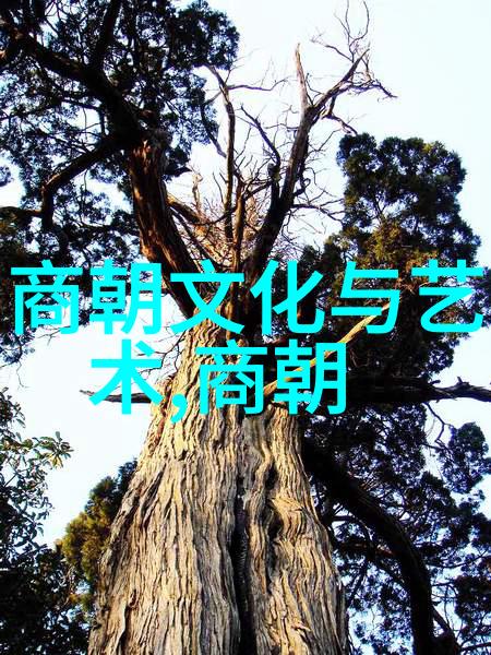 乾隆帝与十三叔的矛盾背后的权力斗争与个人情感