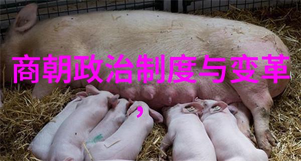 明朝那些事儿洪武之治与中央集权