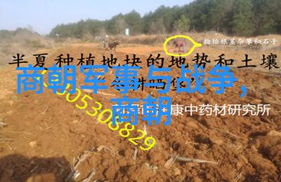 一代一代年岁逐渐增加明朝君主生辰记载考察