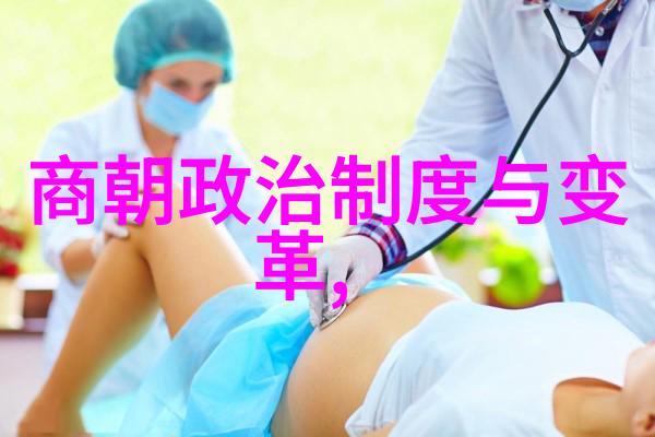 辽阔草原的火焰土木堡之战的悲剧序幕