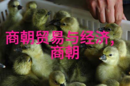 郑成功收复台湾战役分析