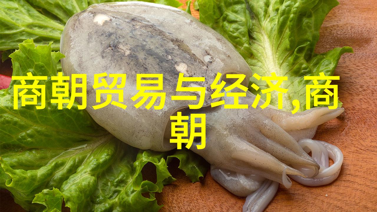 明英宗之称历史的重量与帝王的光芒