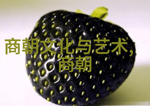 明朝辉煌与变革从建国到覆灭的历史征程