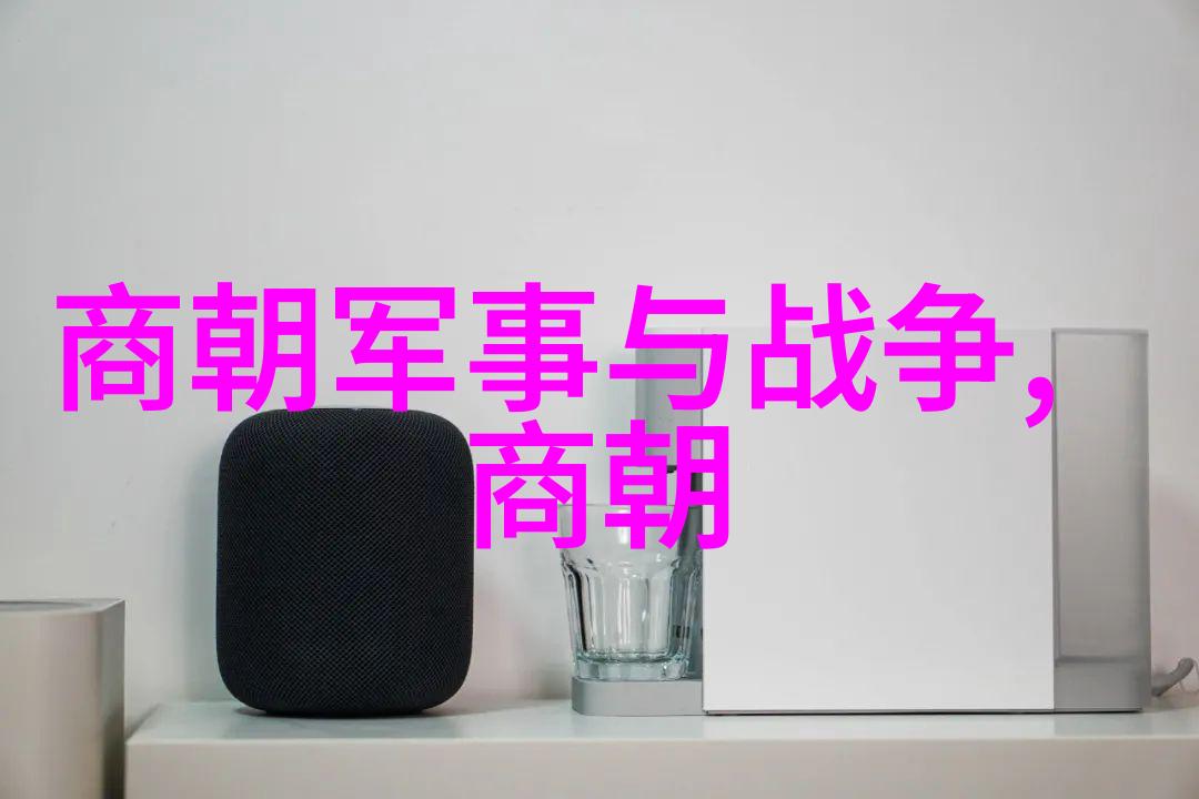 魏悼子的困境元朝昏君的时代背景下的人物考察