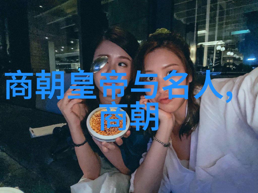 宋朝的光芒专家的赞美与历史的魅力