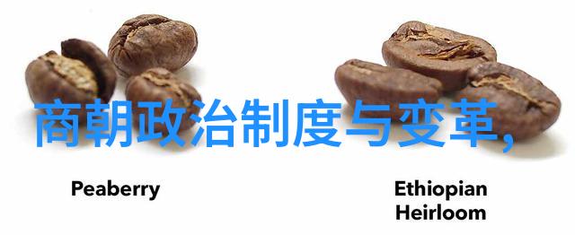 武则天女皇御临长沙2019年WBA世界拳王争霸赛在自然之美中启动
