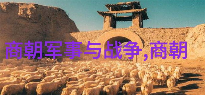 北周 隋朝 - 从龙泉凤雏到隋唐盛世北周与隋朝的辉煌变革