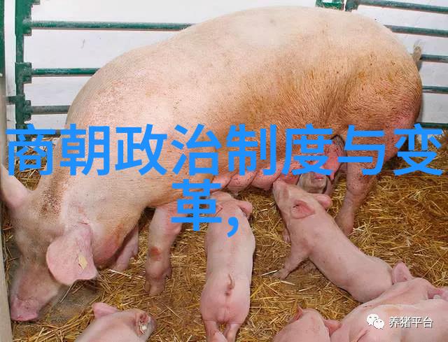 唐朝诡事录1李治第三位皇帝天下之心如其掌