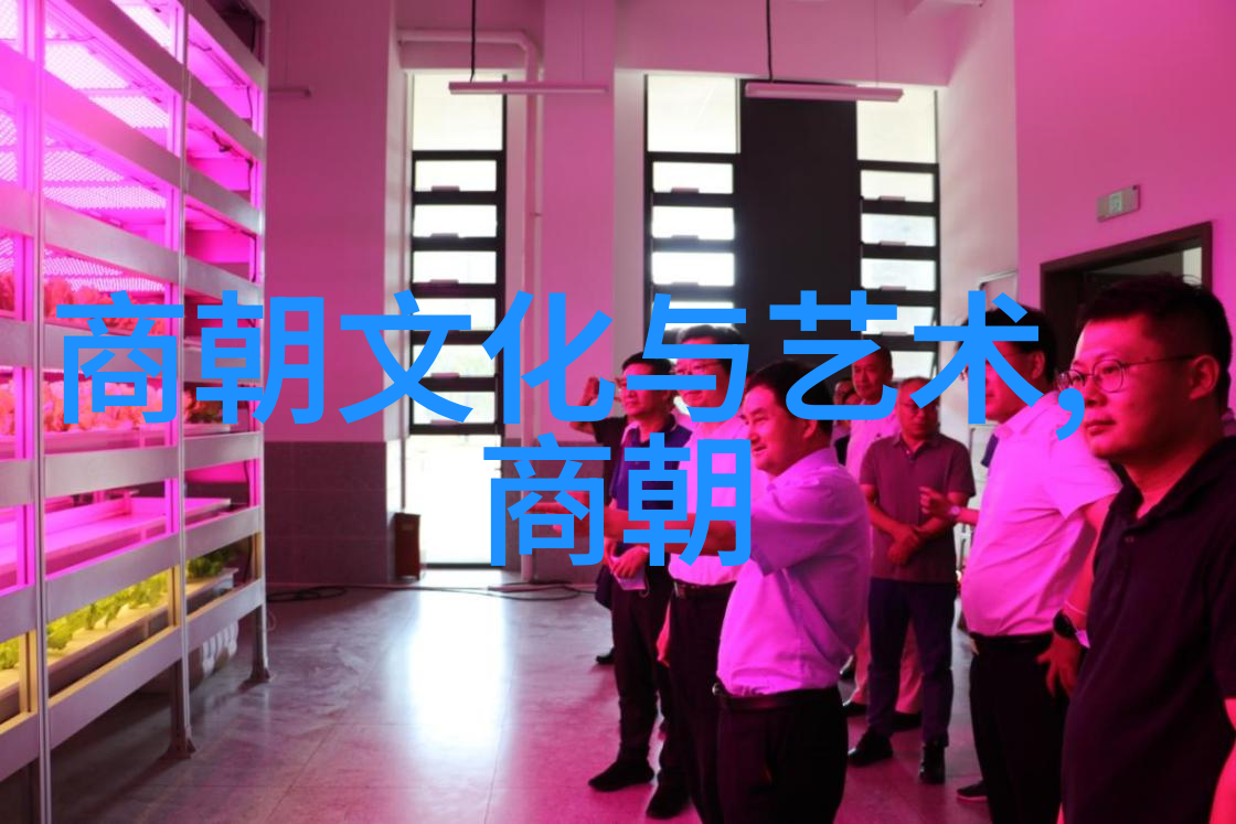 理我一下解读现代人心灵的隐秘角落