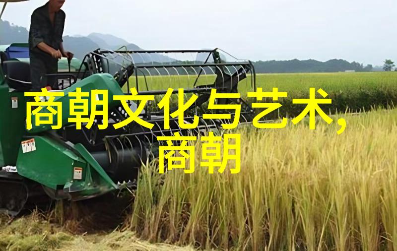 元朝之光文化科技与政治的宝贵贡献