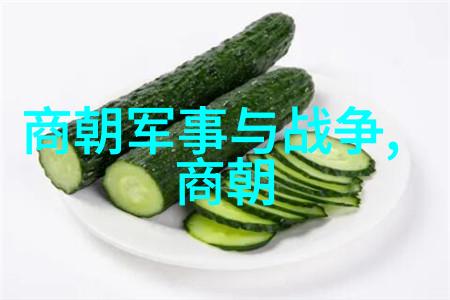 明朝皇帝的真实数量揭秘历史记载与遗失王朝