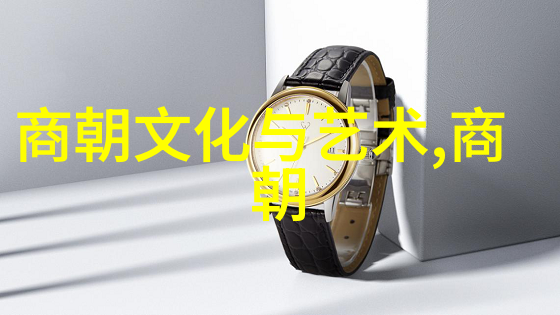 曹操挟天子之谜谁是真正的天子
