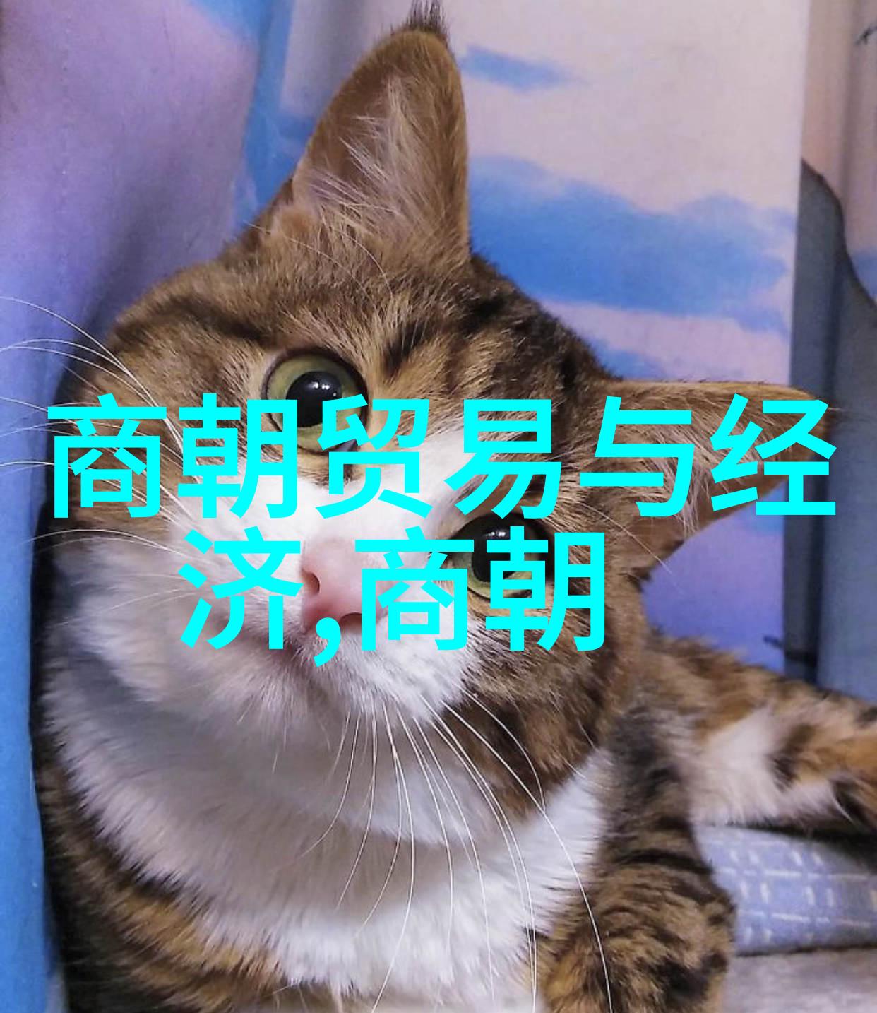 东周朝历代犹如一幅精美的织品每个时代都是一条色彩斑斓的丝线编织成历史的丰富篇章