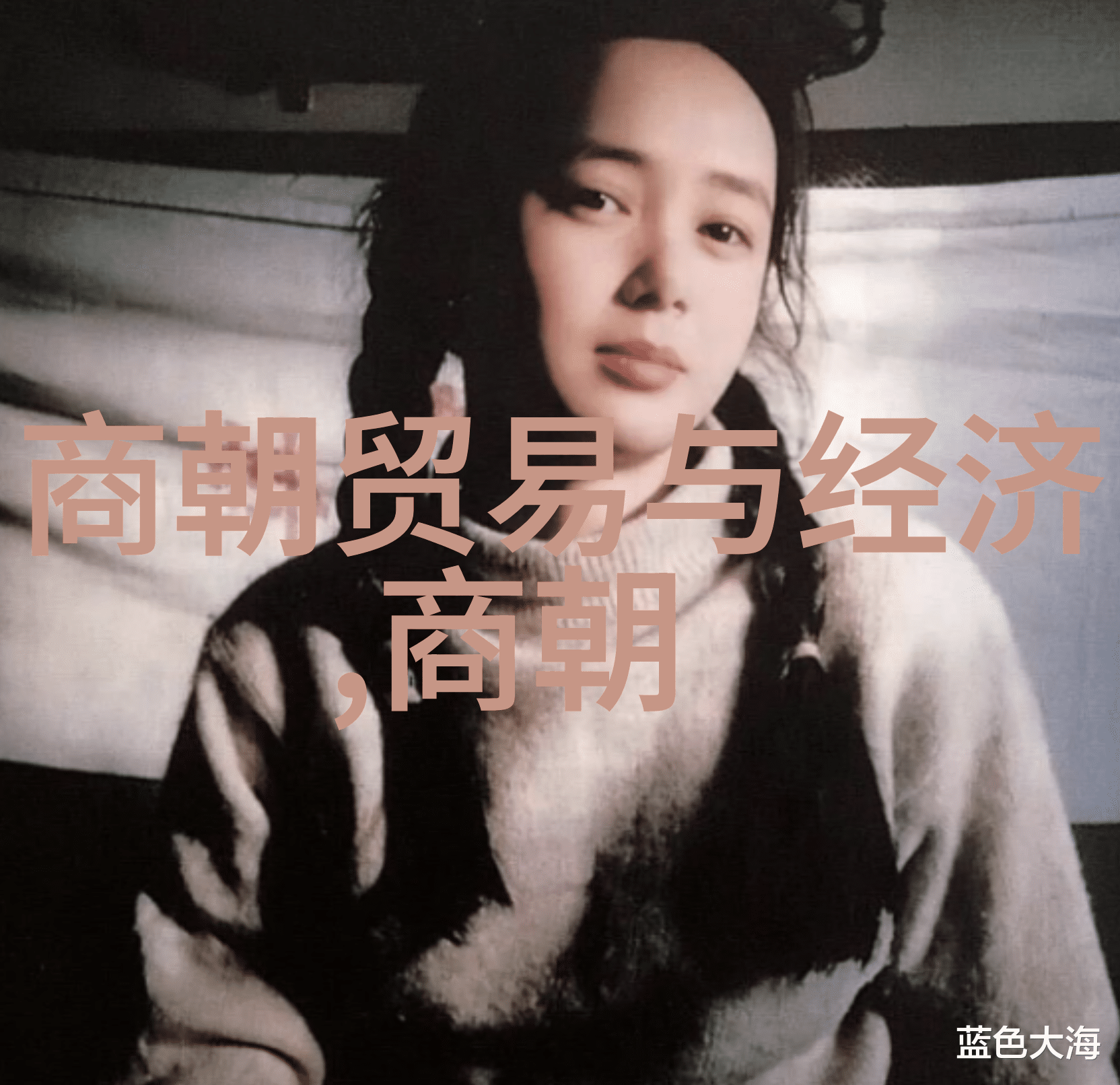 清初对明遗臣的统治策略探究