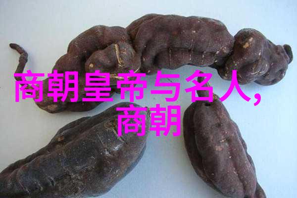 朱棣后裔之谜探索一脉不长寿的历史原因
