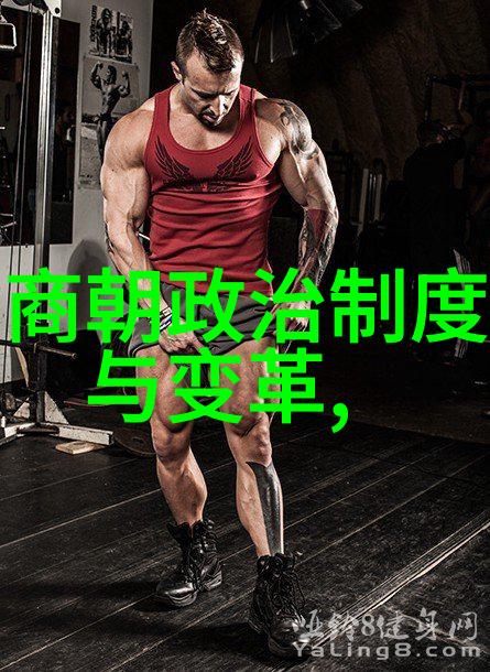 历史重现网上如何找到精彩的明朝时期视频内容