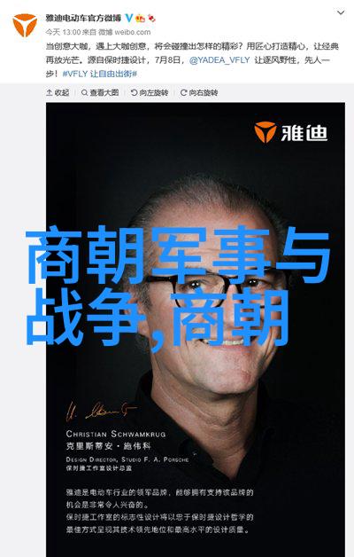 东晋后主张魏历史上的一个朝代指的是魏朝