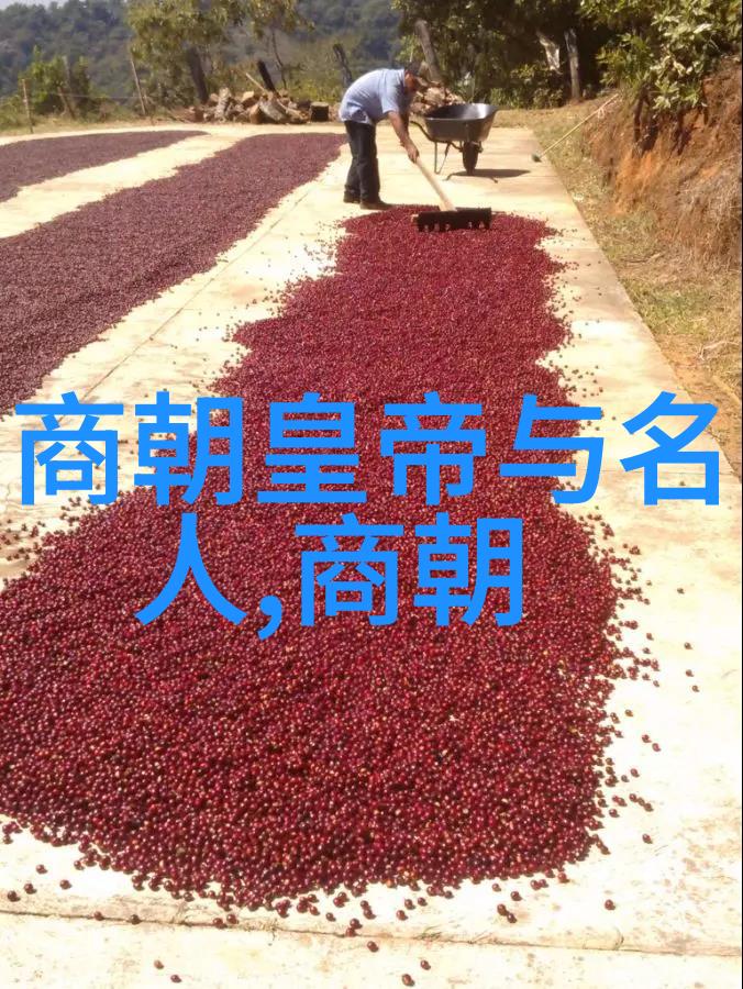 从秦始皇到清高宗探秘中国历代君主之路