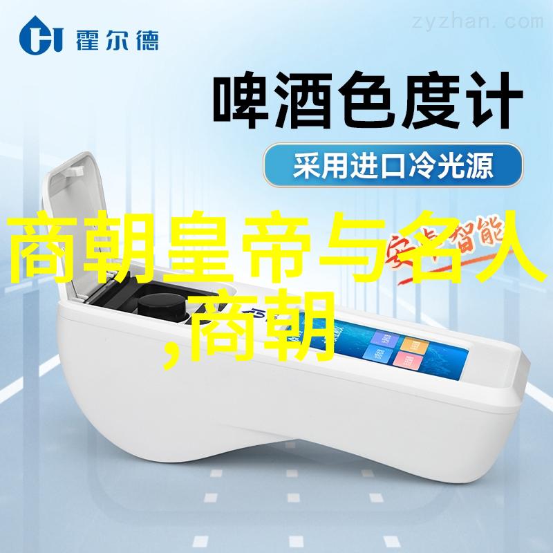 北周的权力之转杨坚的登基之谜