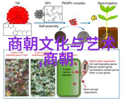 明朝历代帝王列表明朝的每一位皇帝