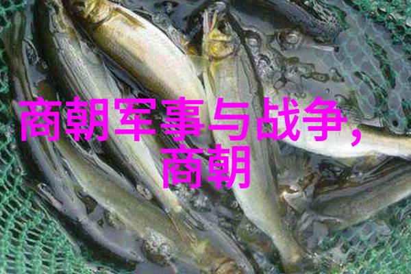 心中的秘密藏不住喜欢的故事