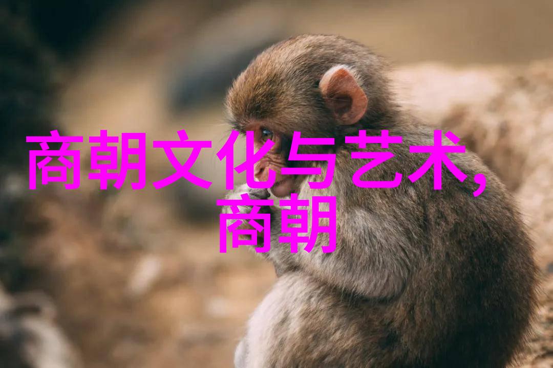 2017年我们的歌手郭采洁免费完整版100首悬念曲目等你发现