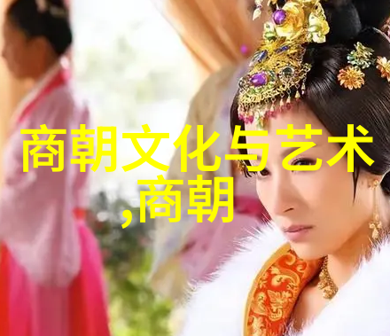 试析辽金时期的文化成就及其对正史影响