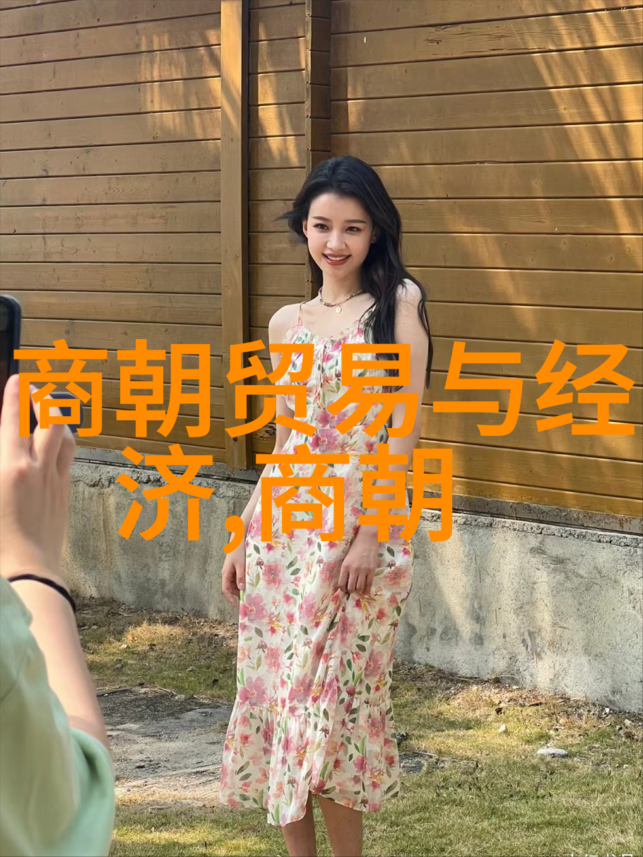 明朝之谜无昏君而亡的历史课题探究