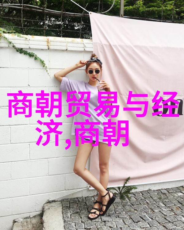 历史谜团-岳飞之死与靖康之耻历史上的巧合与悲剧