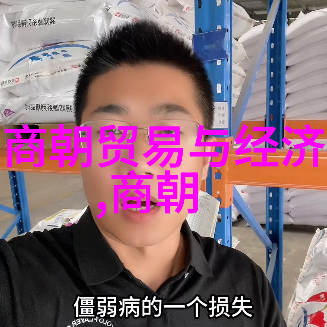 明朝的辉煌与衰败从永乐之路到万历之变