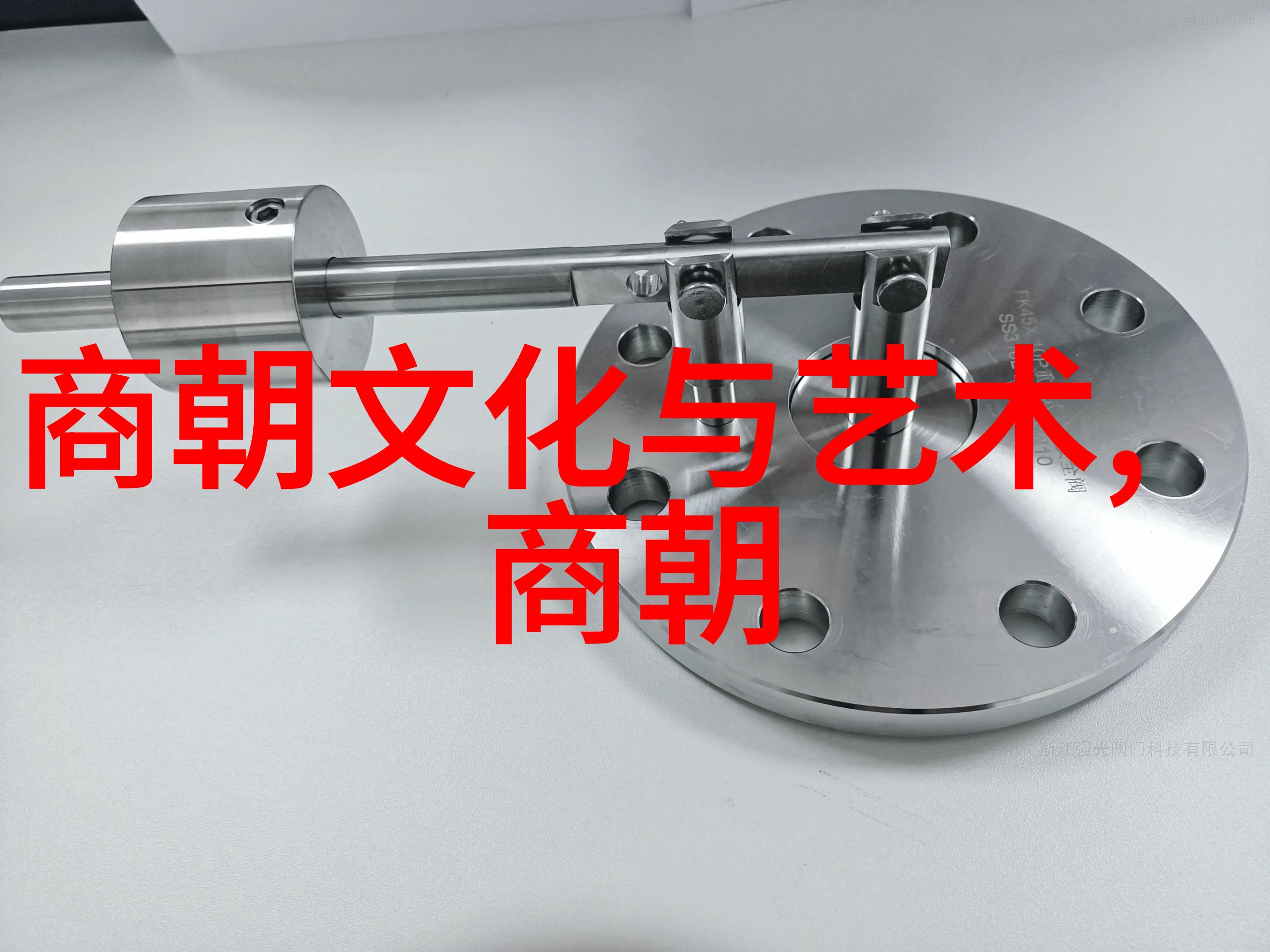 CCTV空中剧院京剧表演壮观的打虎场景