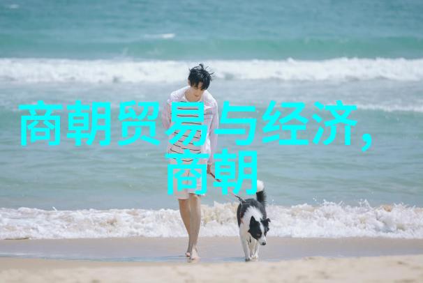 唐朝在世界之巅一代繁荣的辉煌篇章
