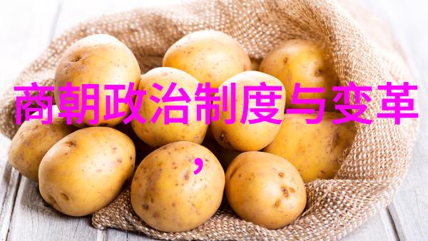 明朝16位帝王的继承人荣耀与沉沦的皇家血脉