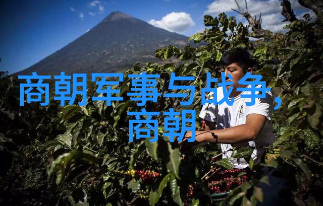 梅花十三的乳液狂飙探索高端护肤界的速度与激情