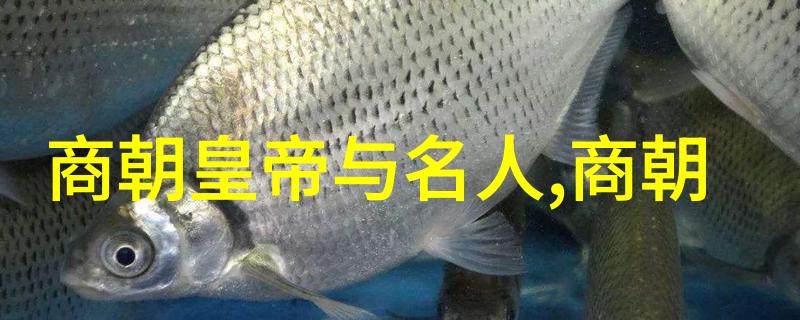 中国第一个我国的第一部动画片叫什么来着