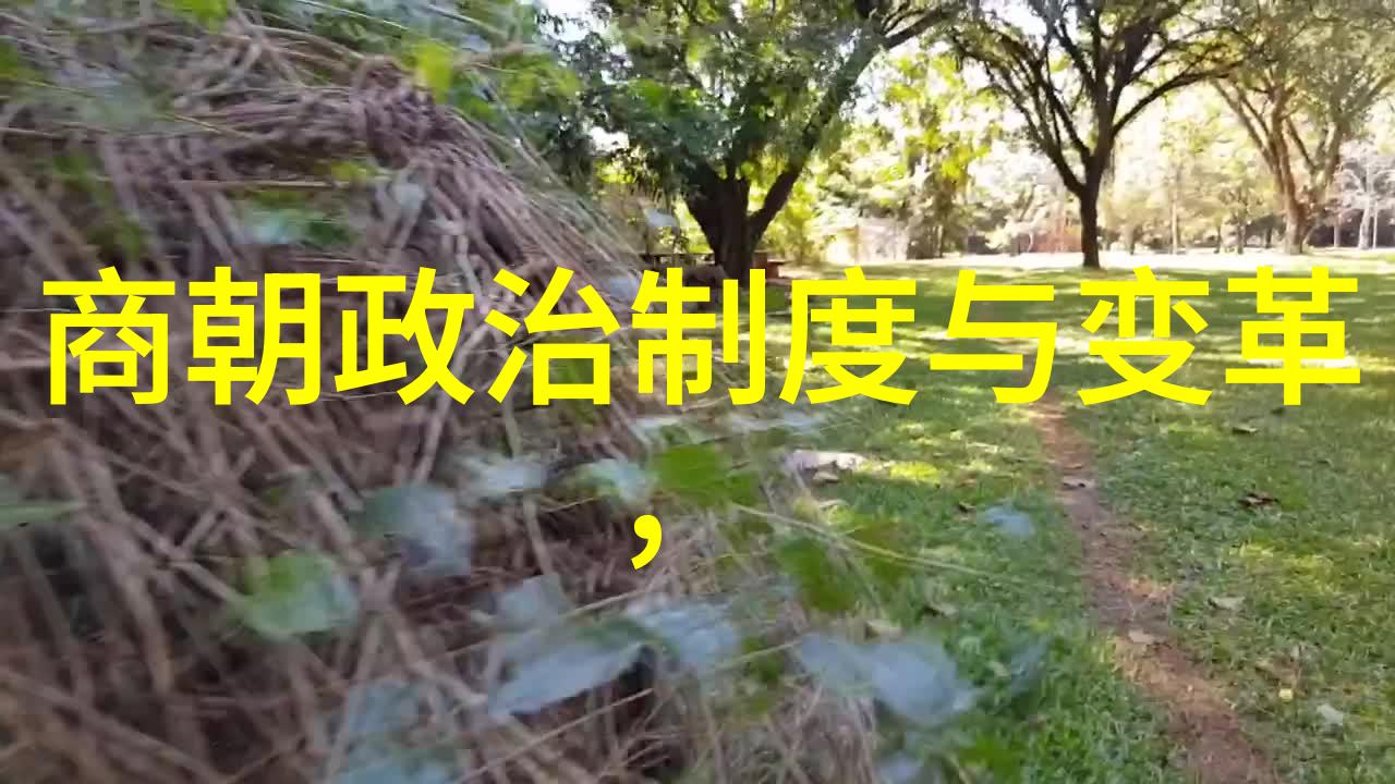 孟丽君黄梅戏风云吴红军在社会舞台上的生行演绎