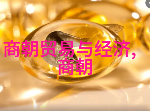 元代历史背景简介蒙古帝国征服与中国文化融合的篇章