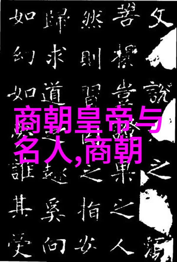 元代的辉煌与衰落从忽必烈到明朝篡位的转折点