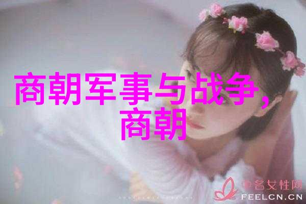 中国历史上一共有多少个朝代我国的起起落落从秦到清的十七个朝代