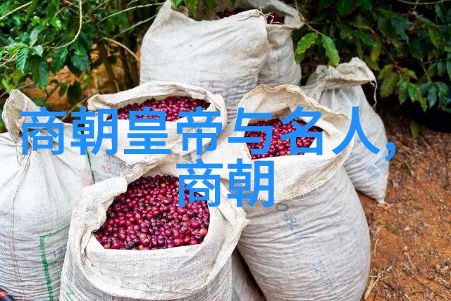元朝科举制度文治盛世的考试风范