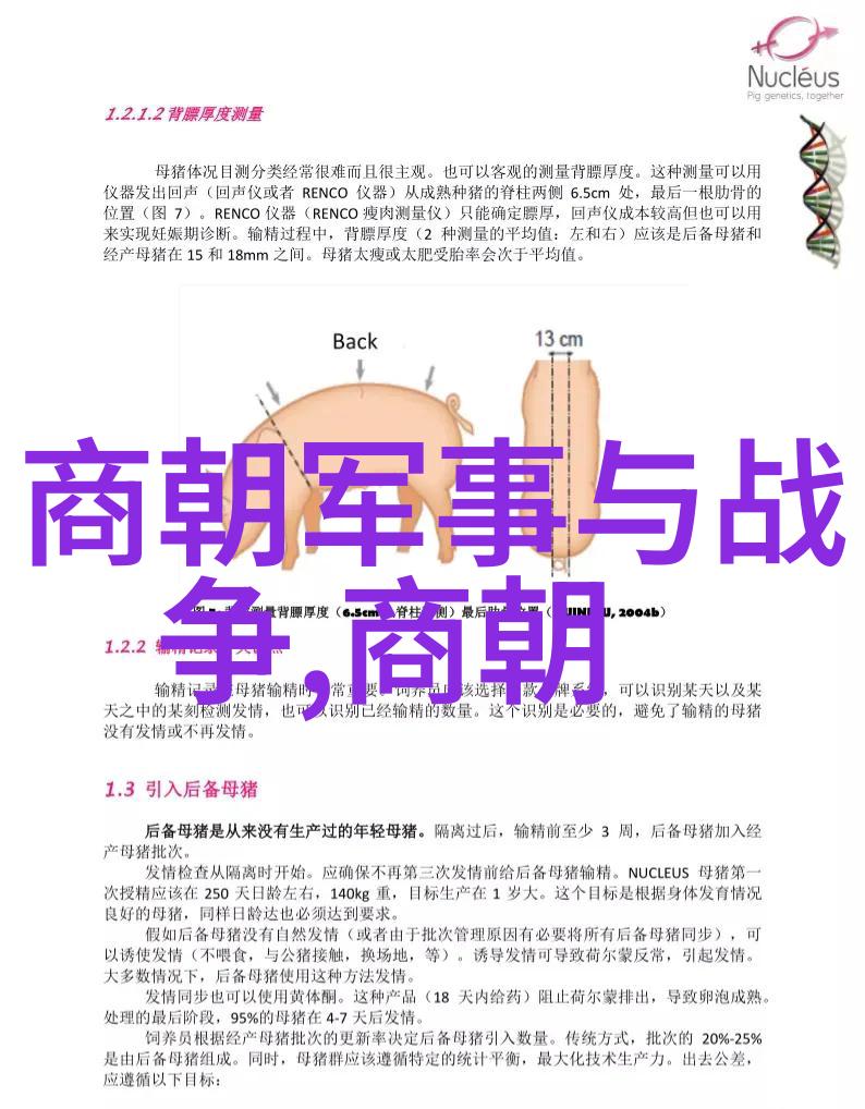晚上开车又疼又叫的声音我这不就因为老婆的喊声差点撞到路边的人了吗