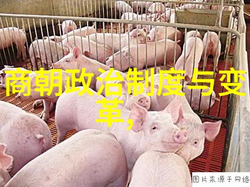中国历史的低谷剖析最弱三朝的衰落与原因