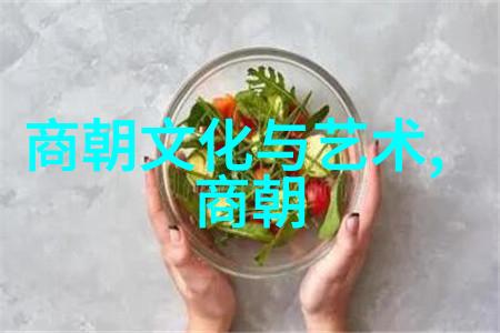 明朝风云变幻揭秘历史真相的第二章