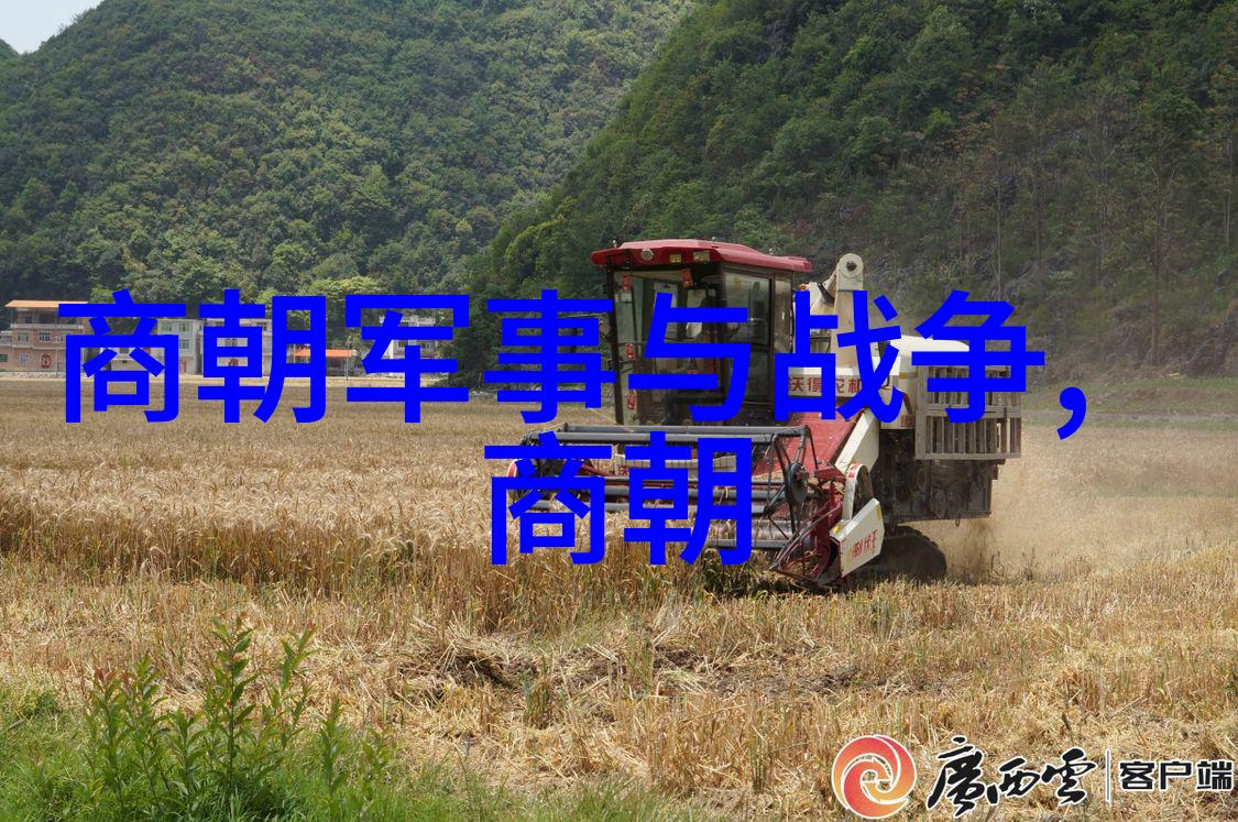 唐朝和隋朝哪个更厉害-盛世对比唐朝与隋朝的辉煌与较量
