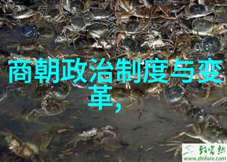 宋代史料我在宋代的历史探索揭秘那些尘封的往事