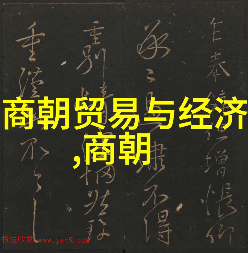 明朝历史著作精选探索中国封建社会的典籍