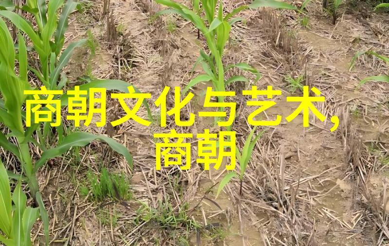 明朝奇闻录天赐孤儿与皇帝的巧合命运