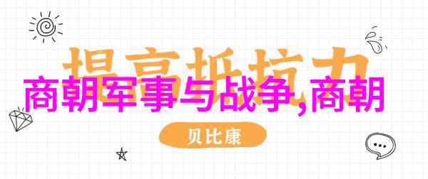 明朝历史的倒影与王权的衰落