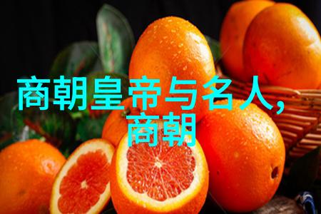 朝代轮回中的时空裂缝揭秘明朝历代的隐秘变迁