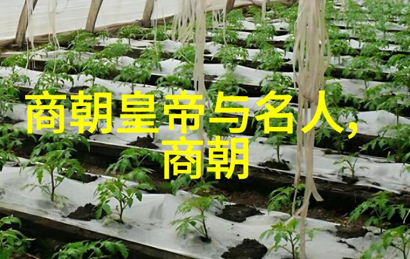 天下第一明朝16位名将的秘密
